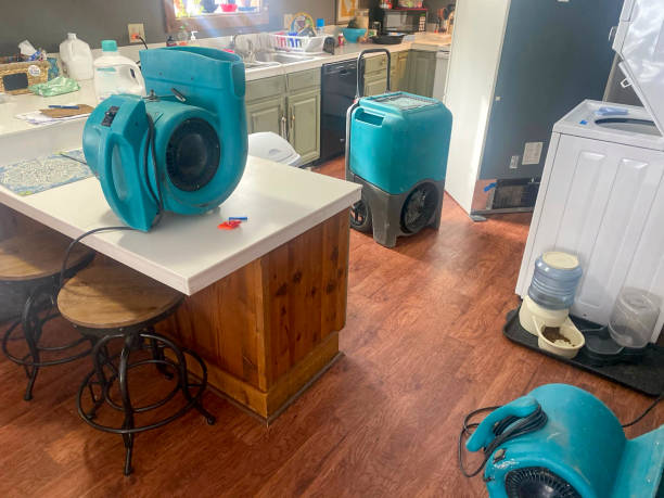 Best Water damage cleanup near me  in Leander, TX