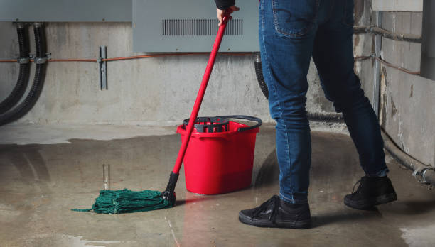 Best Sewage cleanup and water damage restoration  in Leander, TX