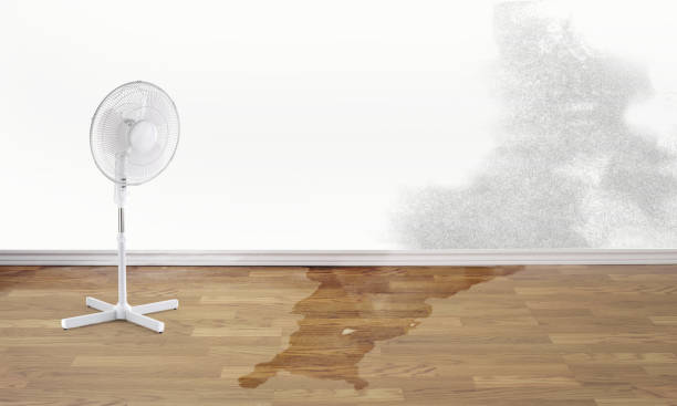 Leander, TX Water damage restoration Company