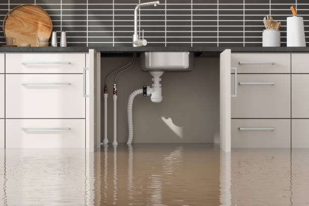 Best Water damage restoration near me  in Leander, TX