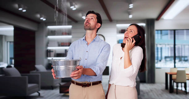 Best Water damage contractors near me  in Leander, TX